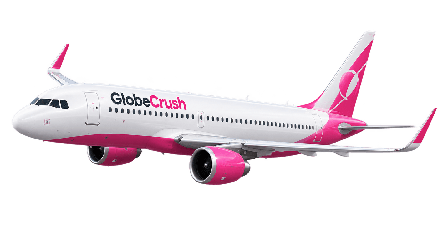 Avion aux couleurs de GlobeCrush en vol